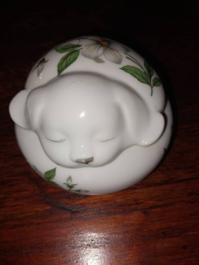 Pretty floarl cute dog trinket box