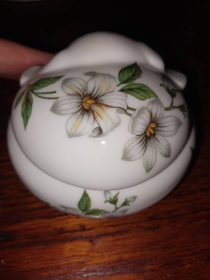 Pretty floarl cute dog trinket box