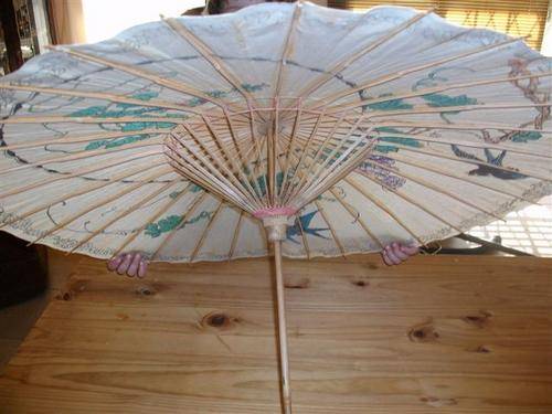 Beautiful chiense style umbrella
