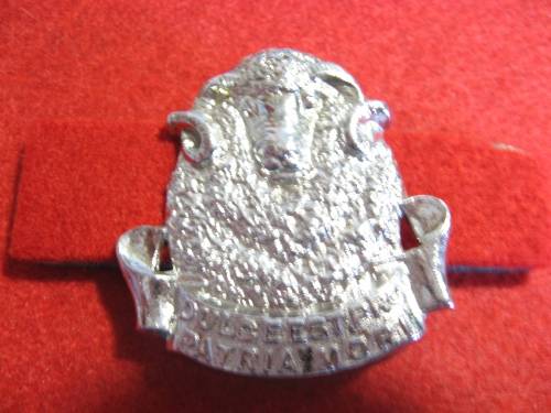 Regt Groot Karoo chrome Beret badge
