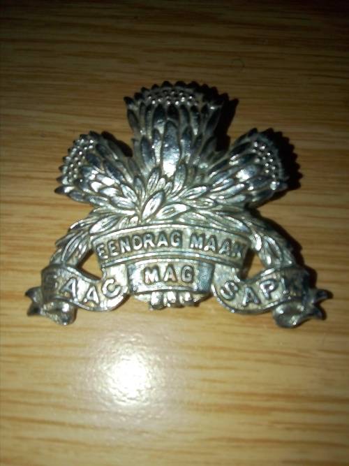 SA Armoured Corps chrome beret badge