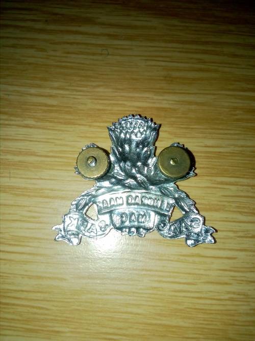SA Armoured Corps chrome beret badge
