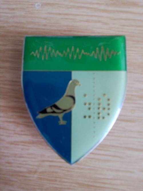2 Signal Regiment flash, all pins