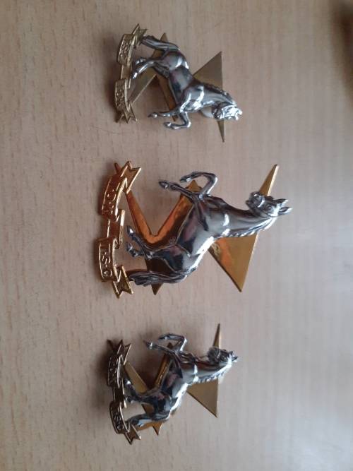 Technical Service Corps BiM cap badge and collars set