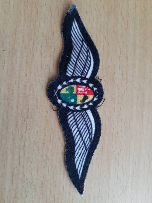 SAAF Pilot's wings D3344?