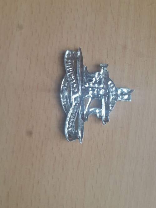 Regiment President Steyn chrome beret badge