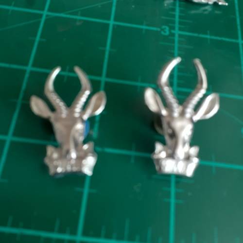SADF Infantry Bokkop chrome collars pair