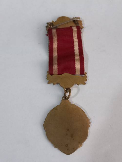 The Order of the Sons of Temperence Medal