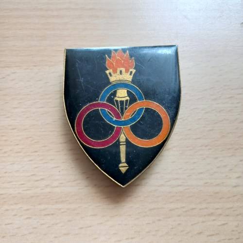 SADF Ordnance Services School all pins