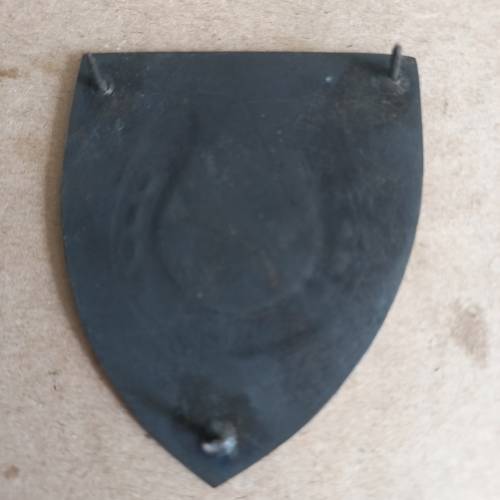 SADF Transkei Mounted Battalion flash all pins