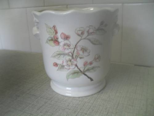 (fyr) a GORGEOUS ROYAL WINTON POTTERY IRONSTONE STAFFORSHIRE ENGLAND POT PLANTER - 11.5cm tall 12cm