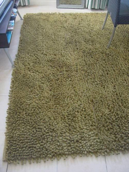 Beautiful Green Carpet large " A GIVE-AWAY!
