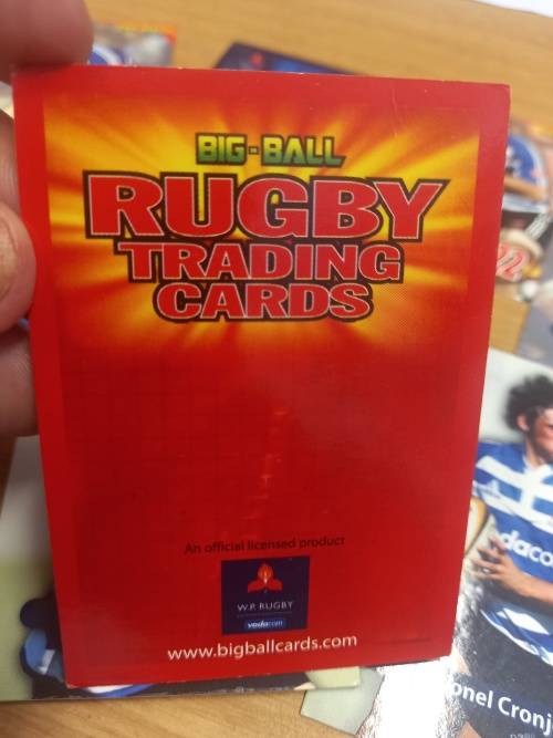 Rugby Trading Cards - Western Province - 38 cards