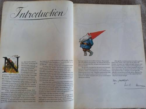 The #1 Bestseller Gnomes  - Forest Gnome