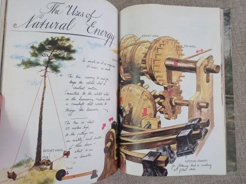 The #1 Bestseller Gnomes  - Forest Gnome