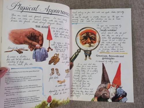 The #1 Bestseller Gnomes  - Forest Gnome