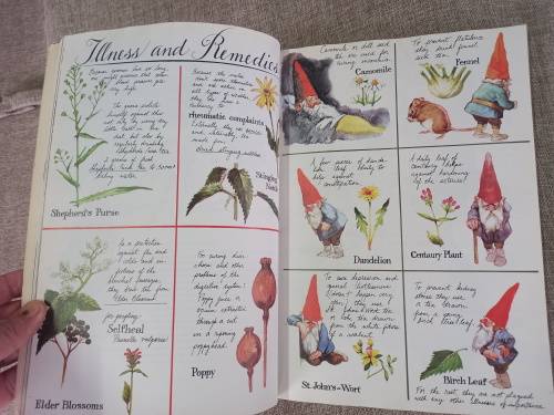 The #1 Bestseller Gnomes  - Forest Gnome