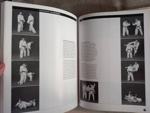 The Art of Ground Fighting - principles and techniques - MarcTedeschi