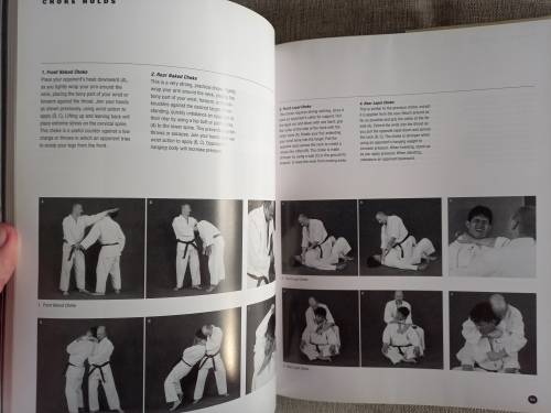 The Art of Ground Fighting - principles and techniques - MarcTedeschi