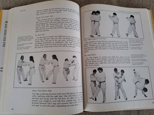 Zen Judo - a way of life . Brian N Bagot - 4th Dan Zen
