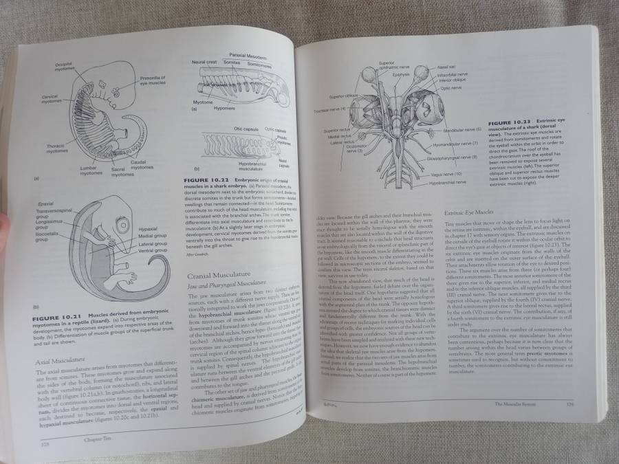 Vertebrates - International Edition - Comparative anatomy, function, evolution - Kardong - 3rd editi