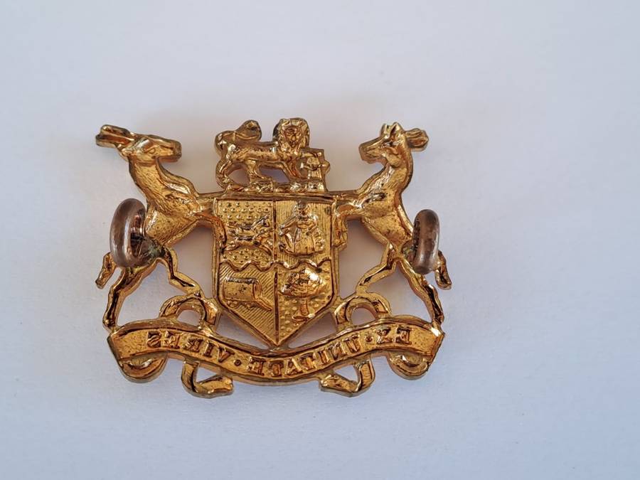 South African Defence Force SADF Warrant Officer Class 2 Gilt Rank Badge