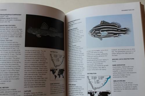 A Guide to The Common Sea Fishes of Southern Africa - Rudy van der Elst
