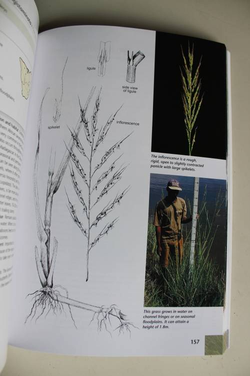 Grasses & Grazers of Botswana - Veronica Roodt