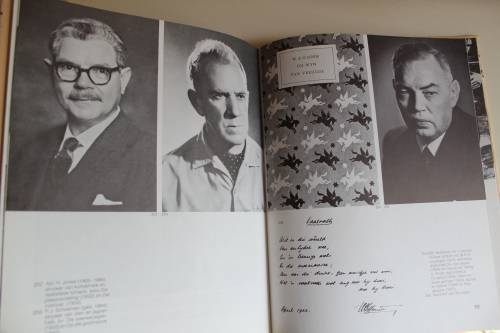 Die Afrikaanse Letterkunde in Beeld - Grove & Nienaber