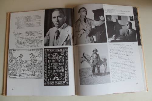 Die Afrikaanse Letterkunde in Beeld - Grove & Nienaber