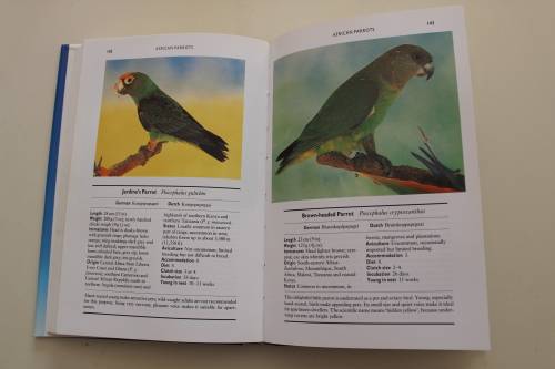 Parrots in Aviculture : A photo reference guide - Low & Moat