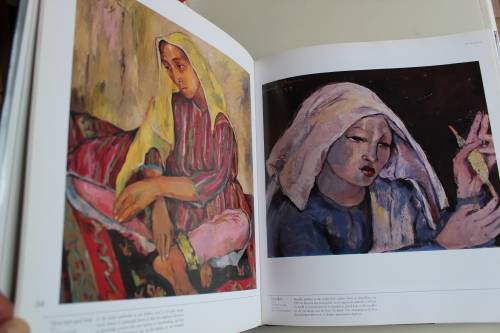 IRMA STERN. 'n Fees van Kleur