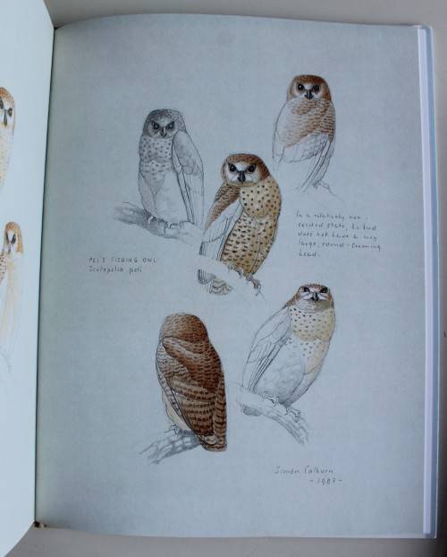 The Owls of Southern Africa by Alan Kemp and Simon Calburn First Edition 1987 with Slip Case
