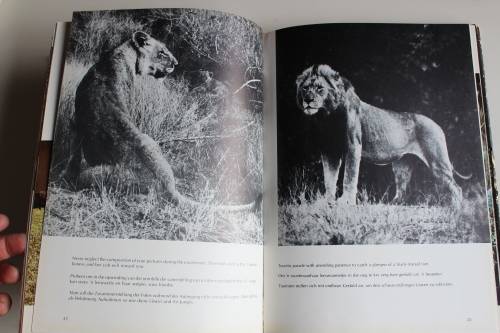 Skukuza Kruger National Park Wildtuin- John Sinclair