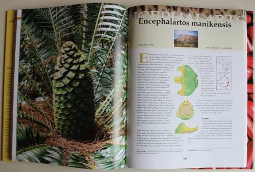 Cycads of Africa - Douglas Goode
