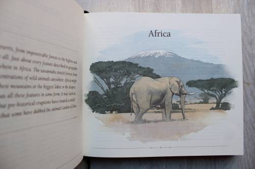 African Safari Journal in slipcase