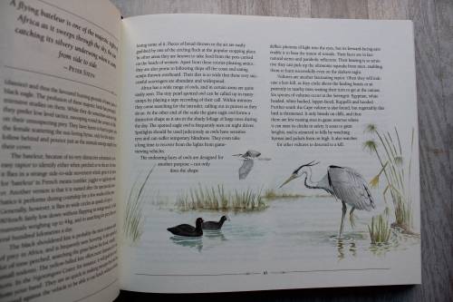 African Safari Journal in slipcase
