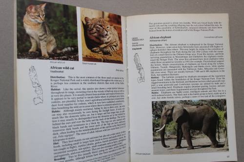 Field guide to the Mammals of the Kruger National Park