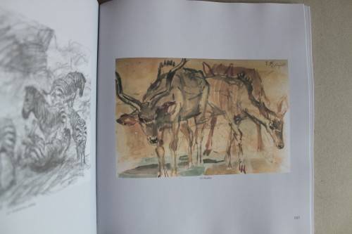 Timeless Encounters - Fritz Krampe     - A Painters Life in Africa