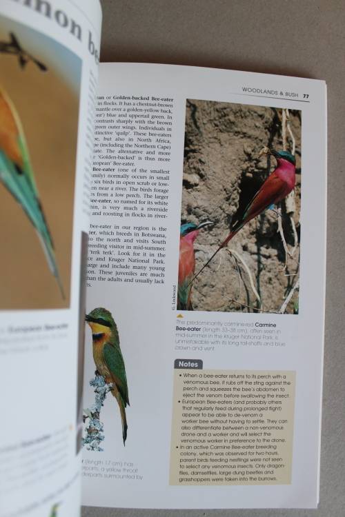 What's that bird? A starter's guide to birds of Southern Africa  - Newman
