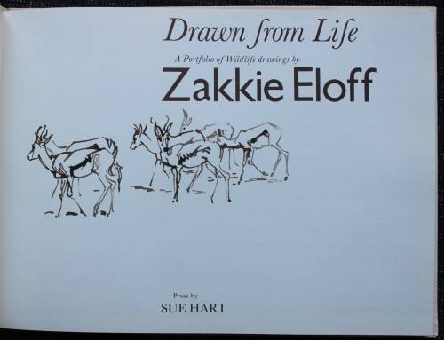 Drawn from Life - Portfolio of Wildlife drawings from Zakkie Eloff