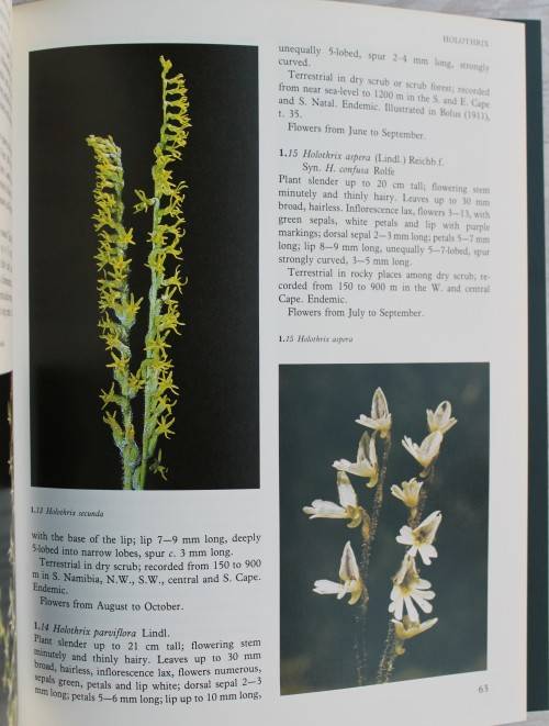 Wild orchids of Southern Africa - Joyce Stewart et al