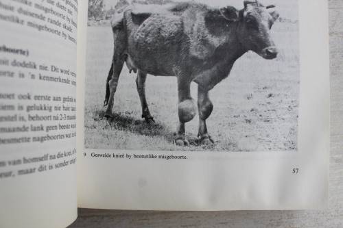 HANDBOEK OOR VEESIEKTES -- Monnig en Veldman