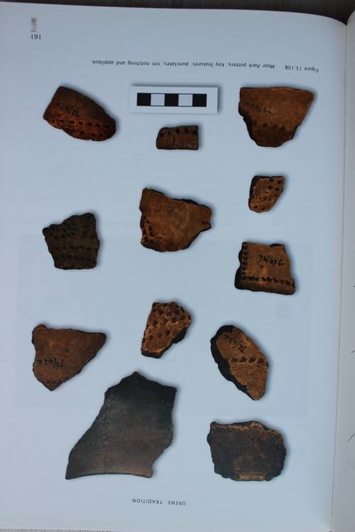 Handbook to Iron Age: The Archaeology of Pre-Colonial Farming Societies in Southern Africa - Huffman