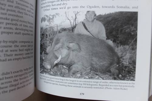 African Stories - Venter