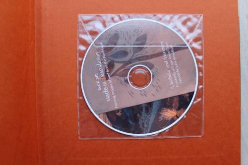 Rock Art. Made in Translation. Framing images of and from the landscape - Skotnes
