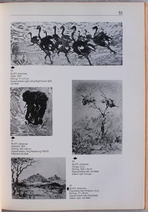 The Levinson Collection: Being the Olga & Jack Levinson Collection SWA/Namibian Art