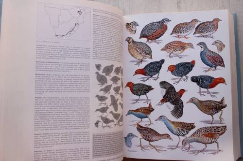 Roberts Birds of Southern Africa - (Editors- Hockey, Dean & Ryan)