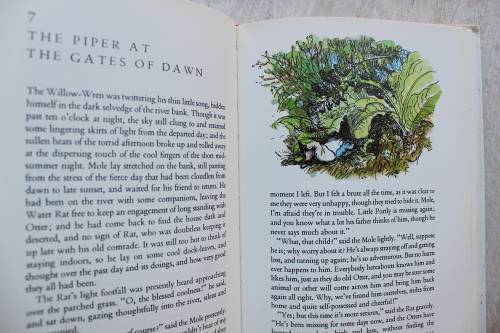 The Wind in the Willows- Kenneth Grahame