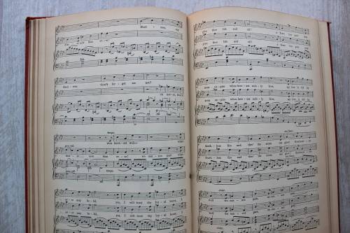 The Lily of Killarney - an opera in three acts by Julius Benedict.